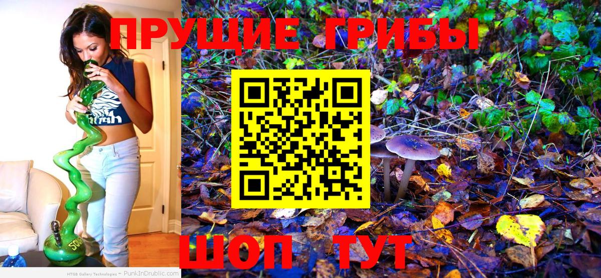 Псилоцибиновые грибы Cubensis Шадринск
